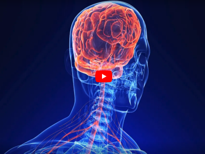 Video Still: Dominique Durand Nervous Systems Communication