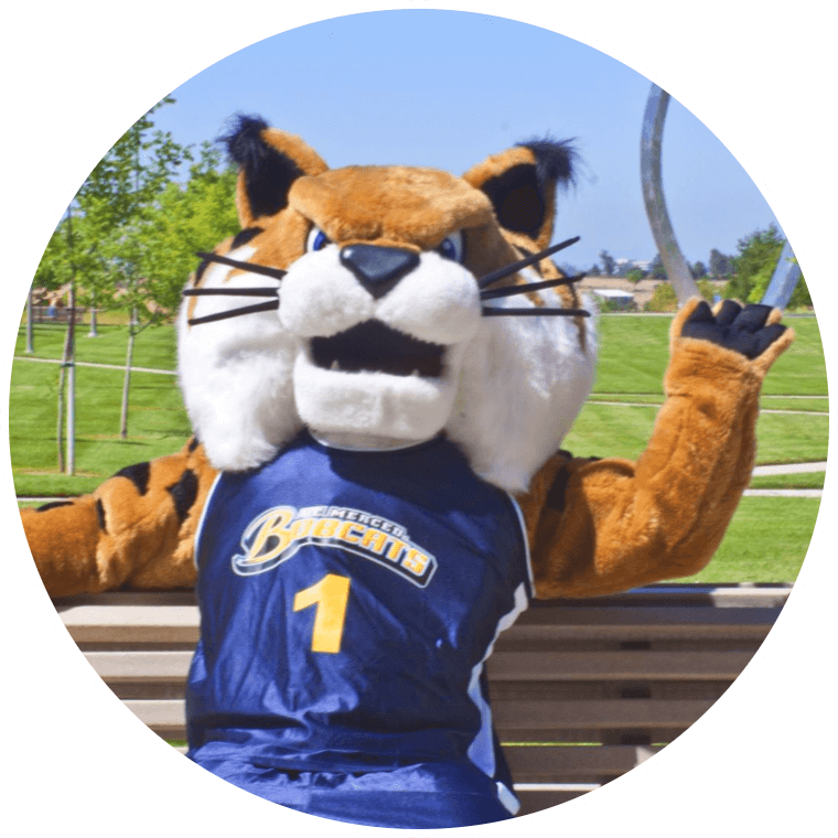 UC Merced bobcat mascot