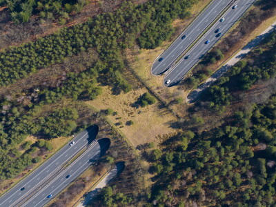 Wildlife bridge creating green connection over highway.