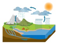 Infographic depicting the cycle of precipitation and water evaporation