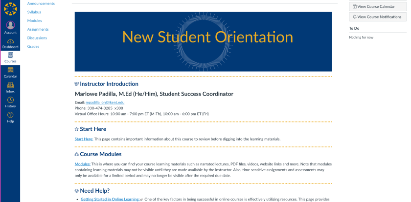 Screenshot of course home page in LMS