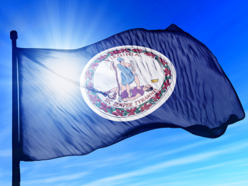 Virginia flag