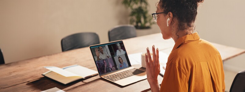 Online student video conferencing with fellow students