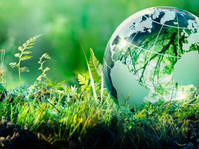 An environmental concept of a moss-covered globe in a lush forest.