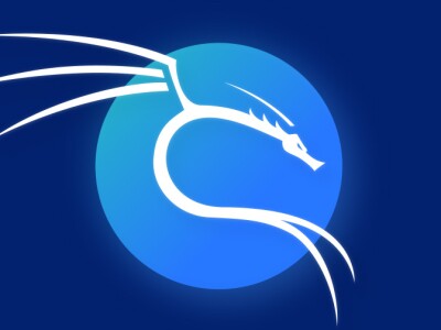 Kali Linux Dragon Icon