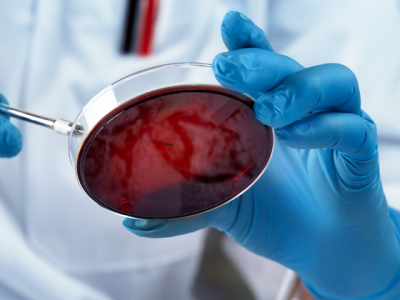Blue-gloved hands work with equipment and test tubes in a lab.